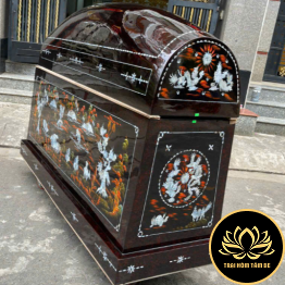 Áo Quan Nắp Tròn